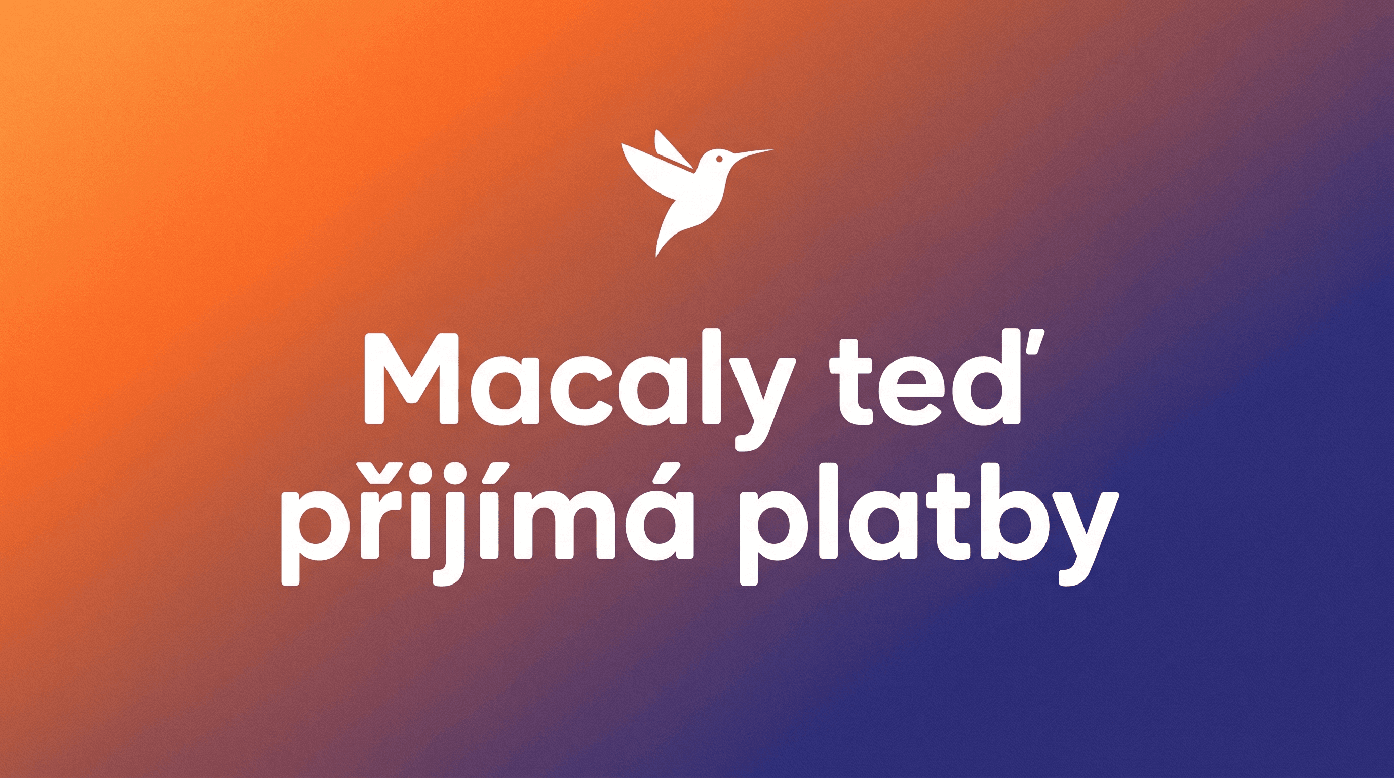Macaly teď umí přijímat platby přes Stripe