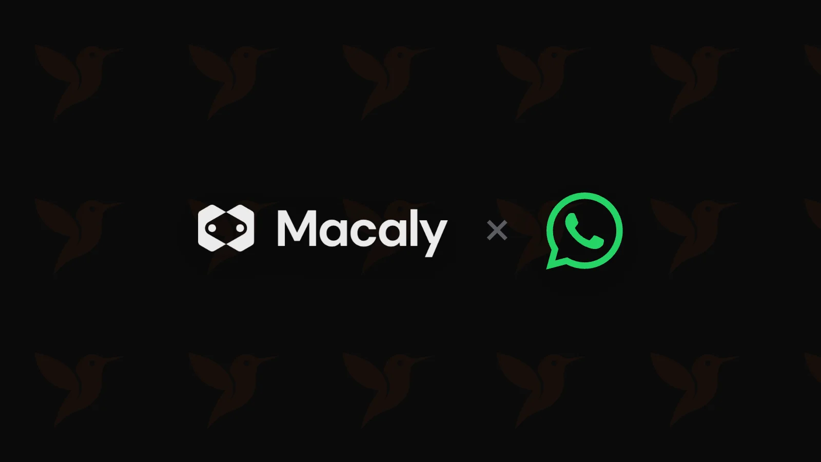 Macaly se nastěhoval do WhatsAppu. Web upravíte zprávou z mobilu